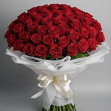 Букет 101 Красная роза Блэк Мэджик в Степном