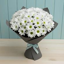 Букет цветов из:  Хризантемы #REPLACE_PRED# Степном