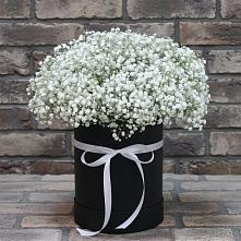 Цветочная композиция из Гипсофила в шляпной коробке в Степном