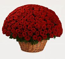 Премиум букет из: Розы #REPLACE_PRED# Степном